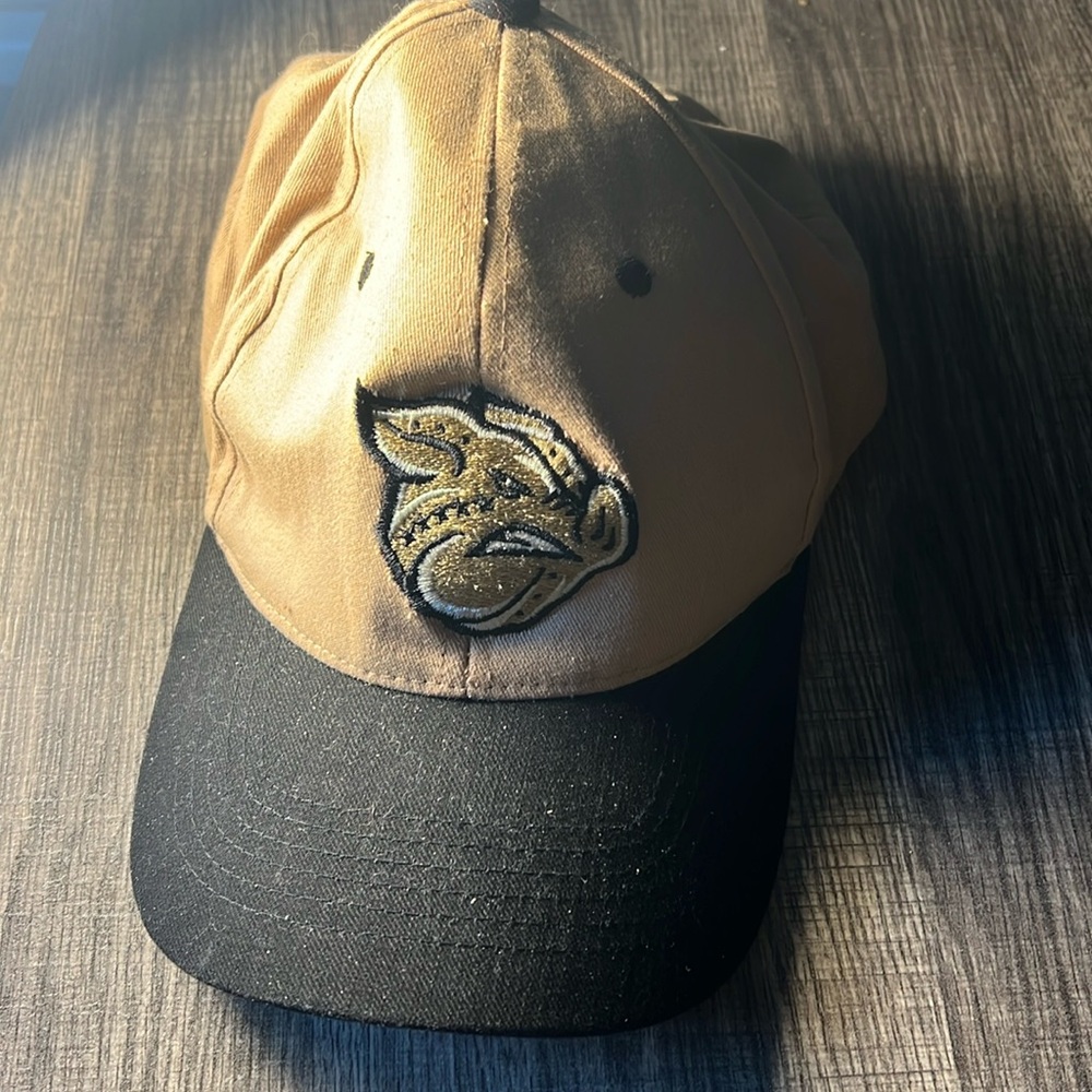 MLB Lehigh Valley Iron Pigs Logo Adjustable 6Panel Hat branded Service Electric